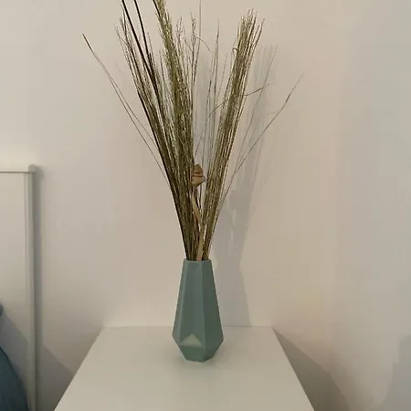 Apartment Cyprien *
